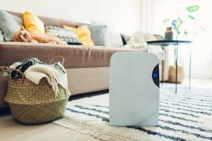 Read more about the article Do You Need a Dehumidifier in the Basement?