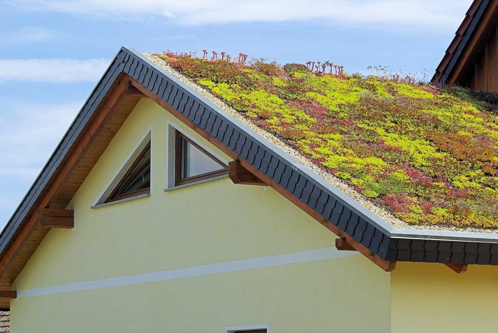 House with green roof