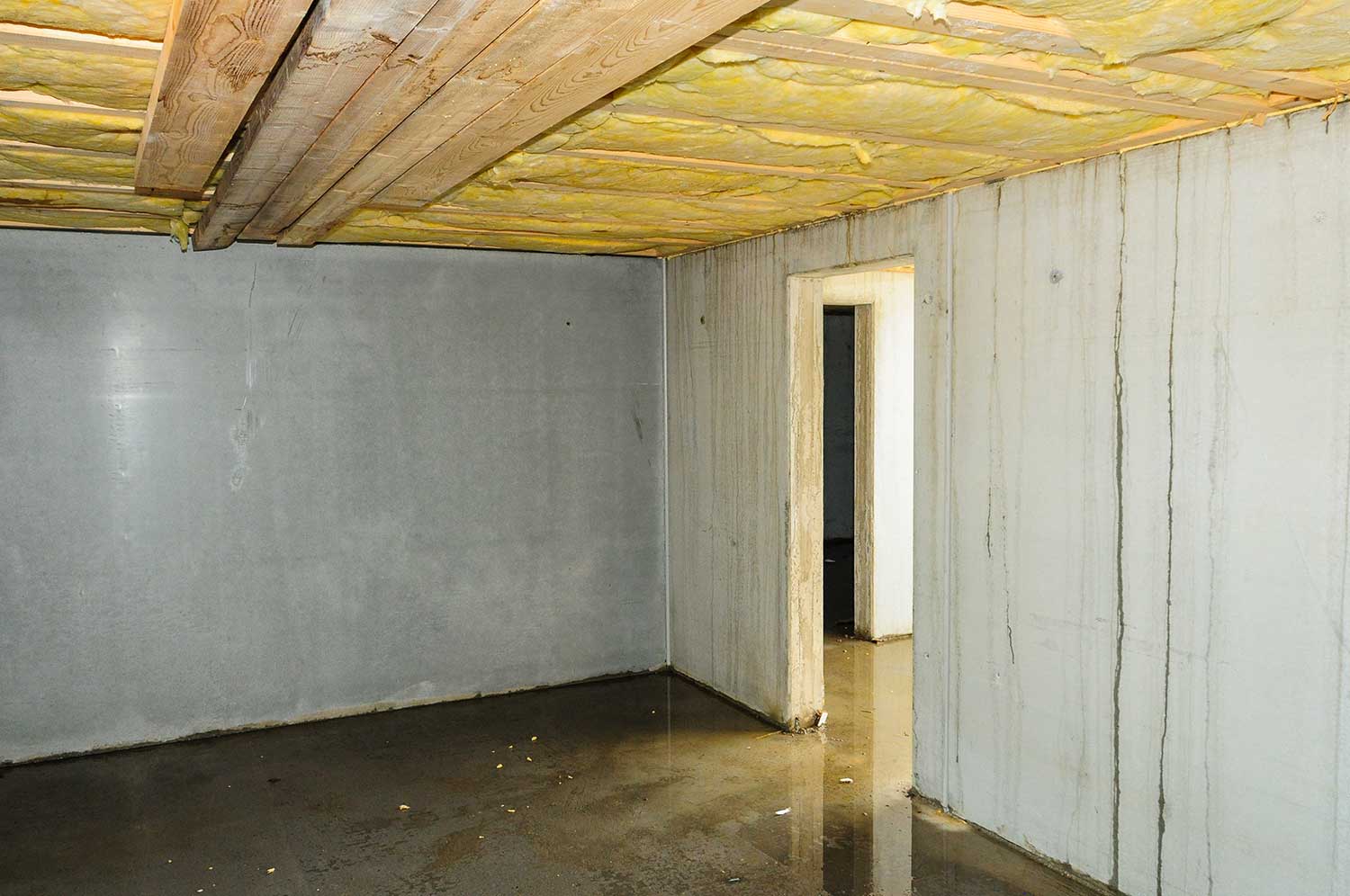 Wet faulty builded cellar