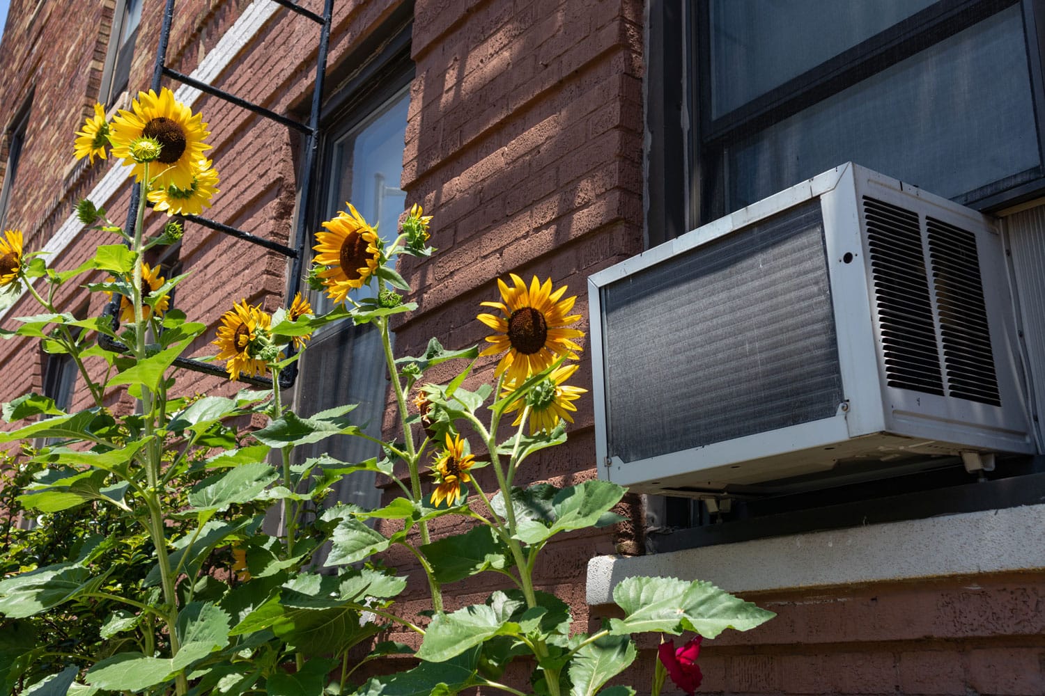 An air conditioning unit photographed outside an apartment building