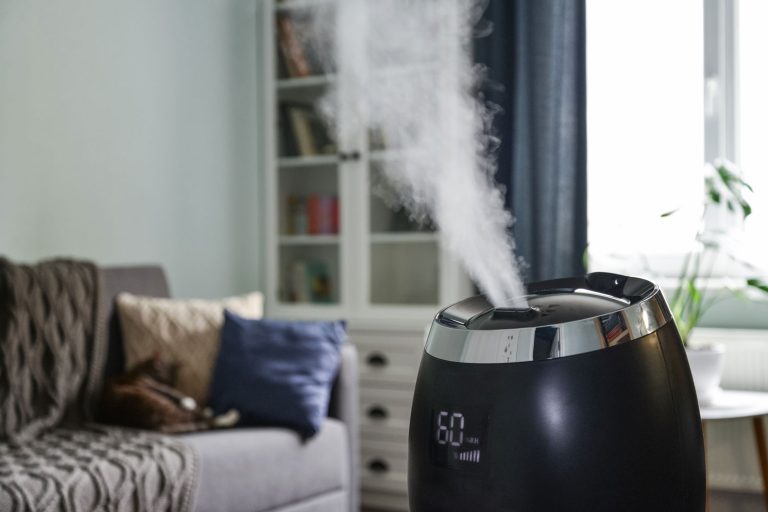 Vapor emitting from the humidifier inside the living room, Should You Put A Humidifier On The Floor?