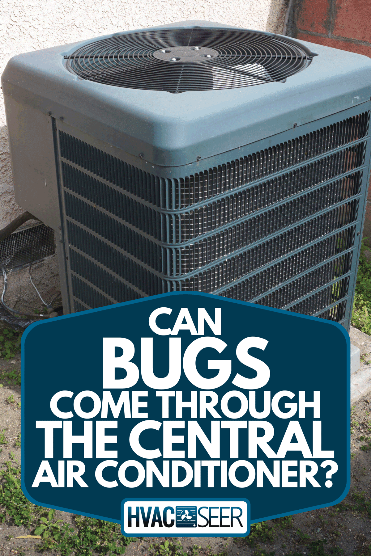 An outdoor air conditioning unit, Can Bugs Come Through The Central Air Conditioner?