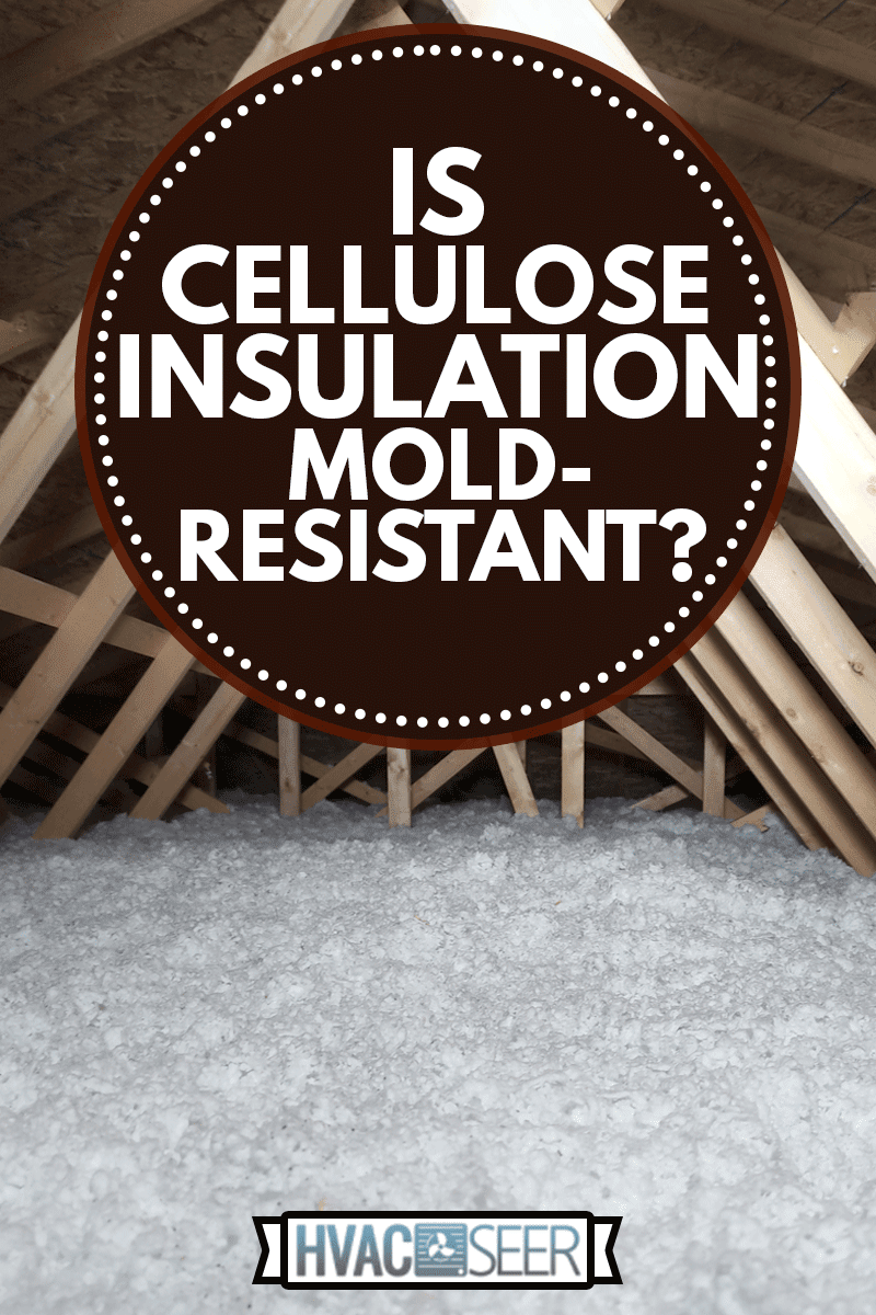 Cellulose Insulation in Attic House, Is Cellulose Insulation Mold-Resistant?