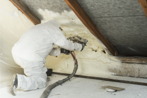 Read more about the article Does Cellulose Insulation Deter Mice And Other Pests?