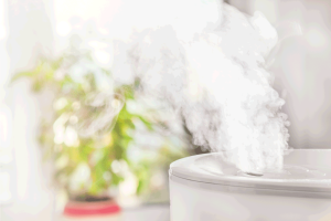 Read more about the article How To Clean An Evaporative Humidifier