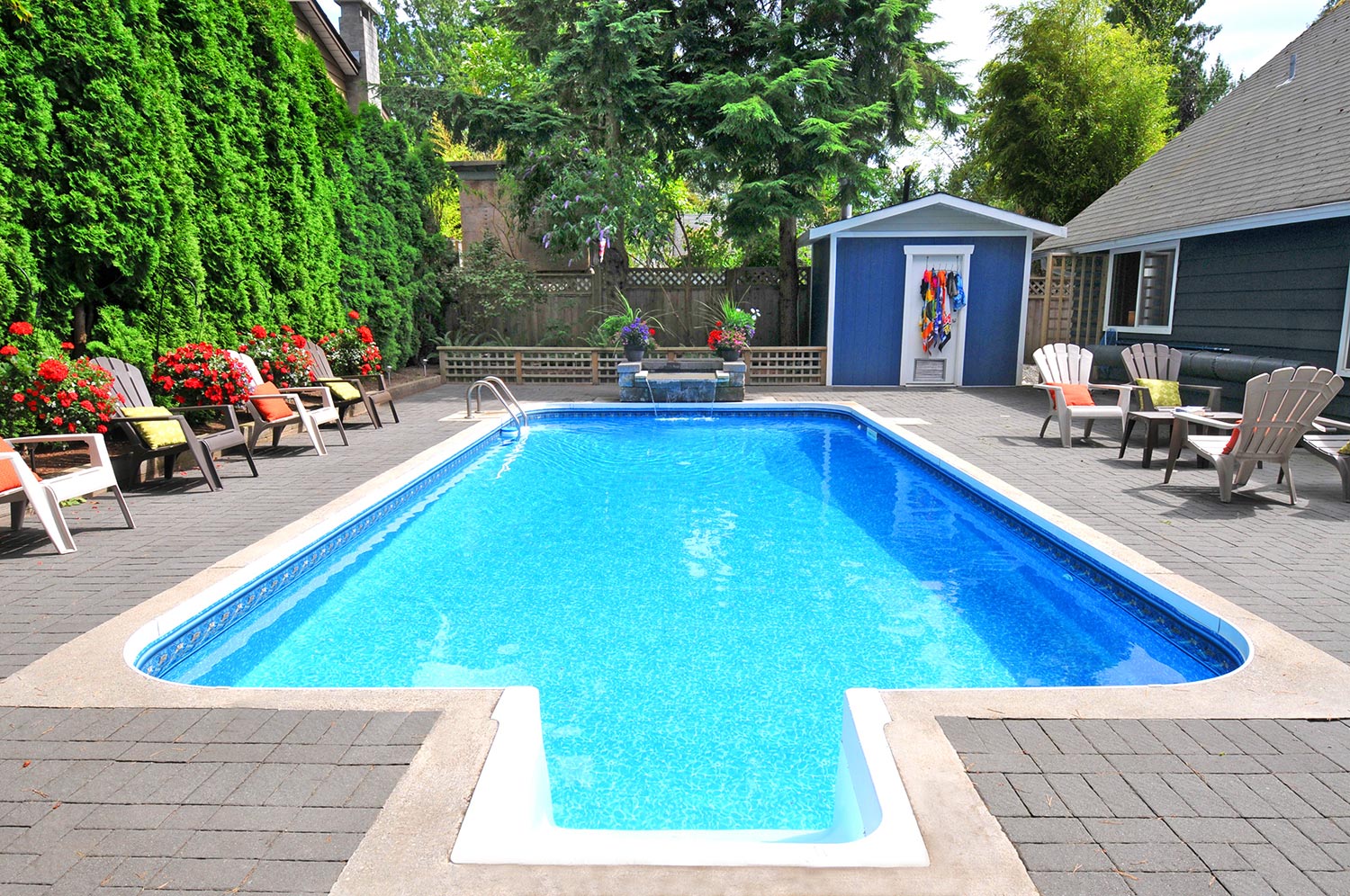 Beautiful back yard swimming pool