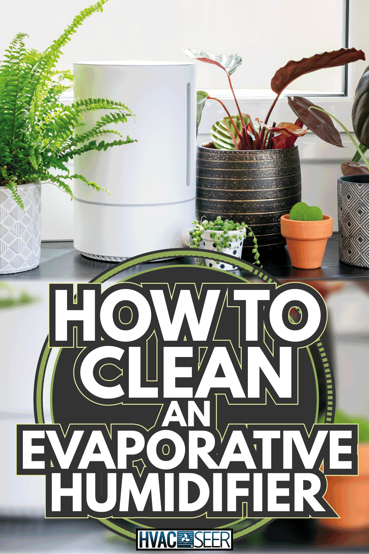Stylish composition of home plants in different hipster pots and electric humidifier. How To Clean An Evaporative Humidifier