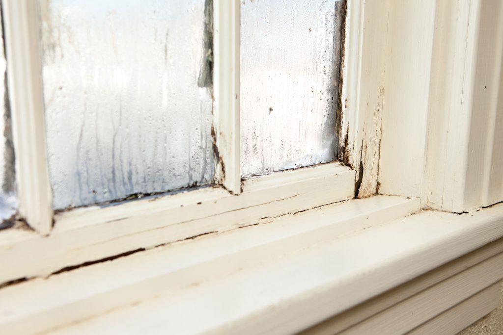 Wooden window framing rotting away due to moist caused by changing weather