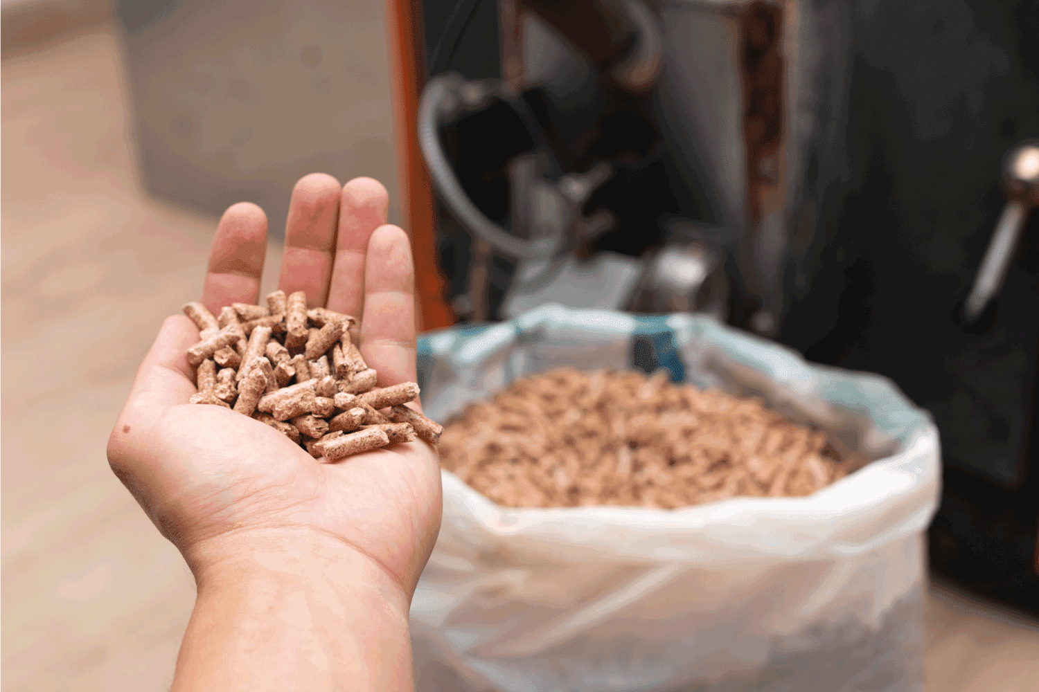 pellets for biomass burner system held on hand