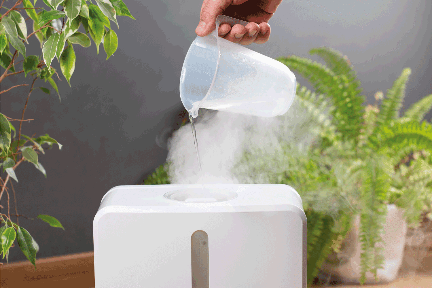 A man uses a humidifier at home. Filling the reservoir with water