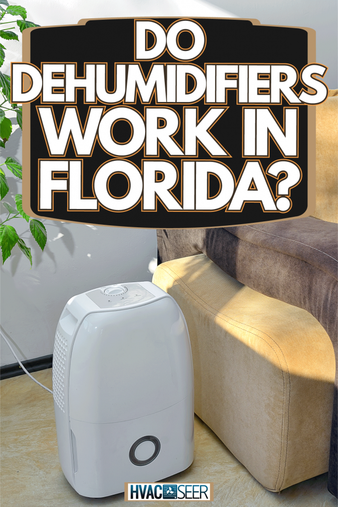 A white Dehumidifier placed next to the couch and the plant, Do Dehumidifiers Work In Florida?