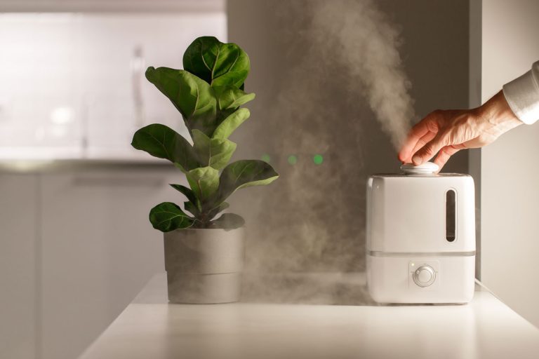 Hand turn on air humidifier on the table at home, water steam direction to a houseplant, Humidifier Leaving White Dust - What To Do?