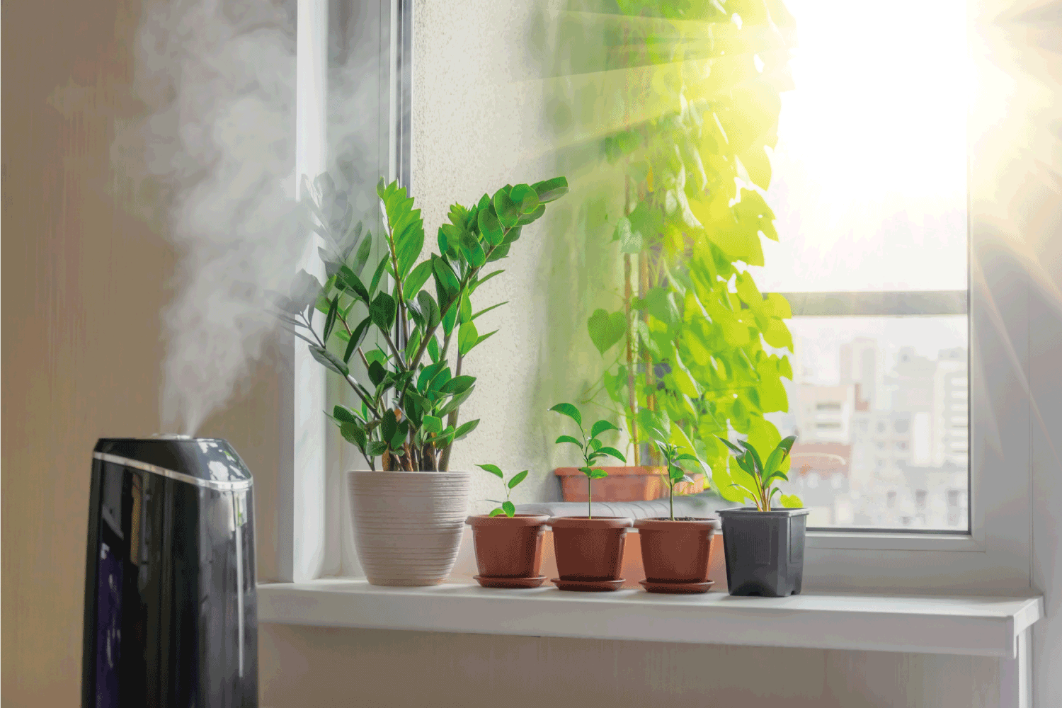 Indoor decorative and deciduous plants on the windowsill in an apartment with a steam humidifier, against the background outside the window of the city and multi-storey buildings