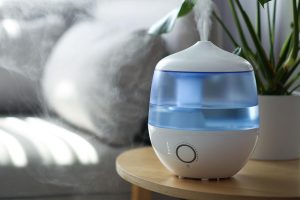 Read more about the article Can I Use Humidifier Without Air Conditioner?