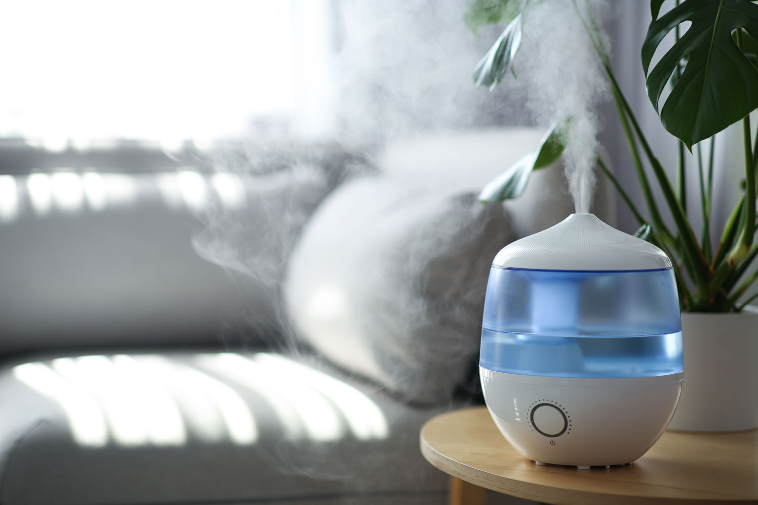 Modern air humidifier and houseplant on table in living room