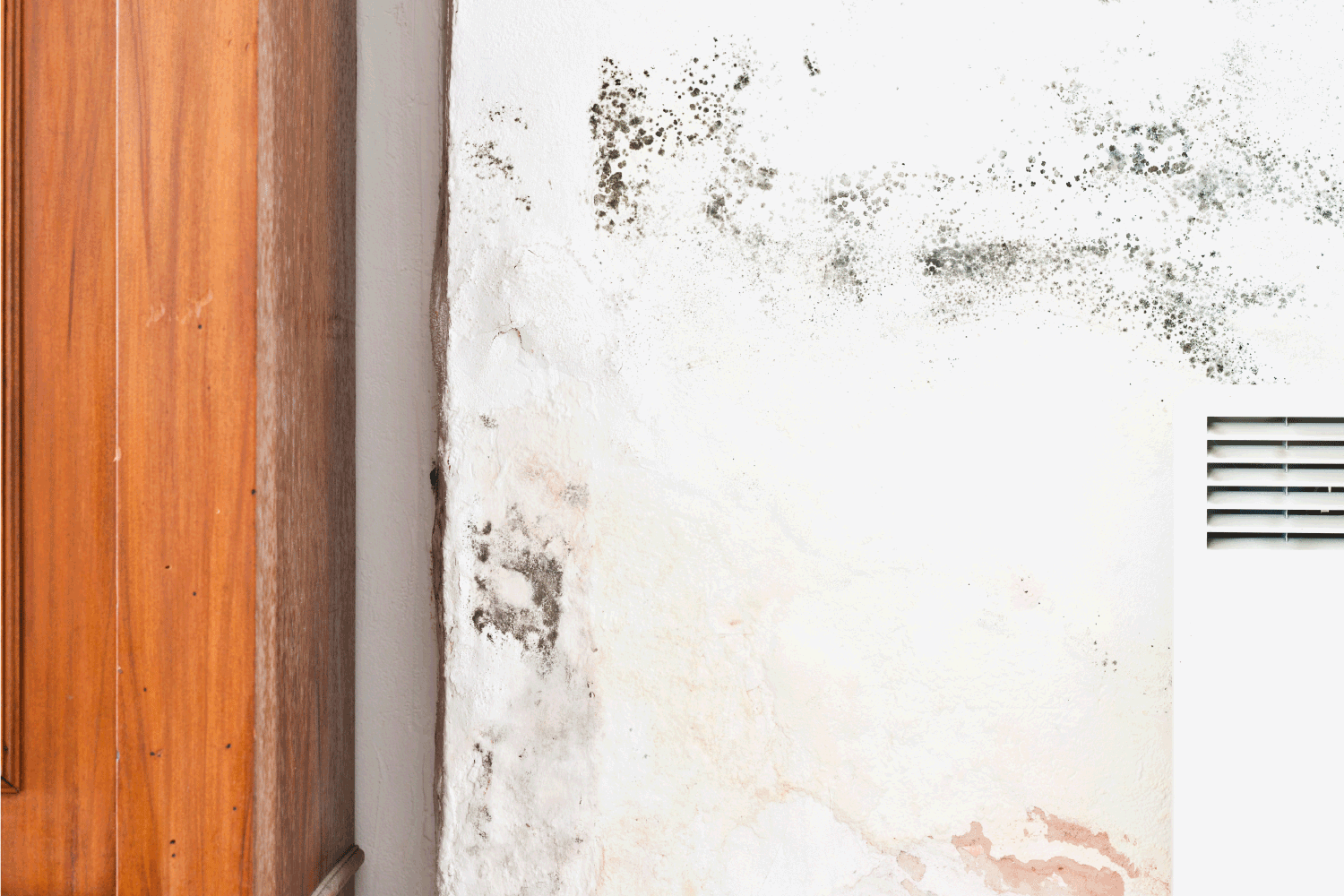 Rising Damp and Mildew or Mold on Wall with Wooden Furniture and Radiator