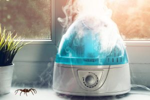 Read more about the article Do Humidifiers Attract Spiders And Other Bugs?