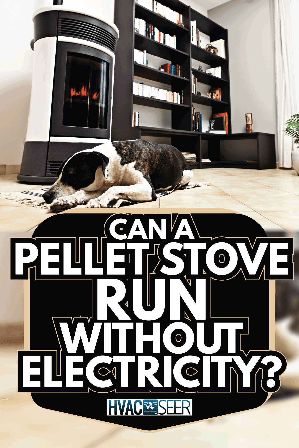 dog in front of a pellet stove burning slow. Can A Pellet Stove Run Without Electricity