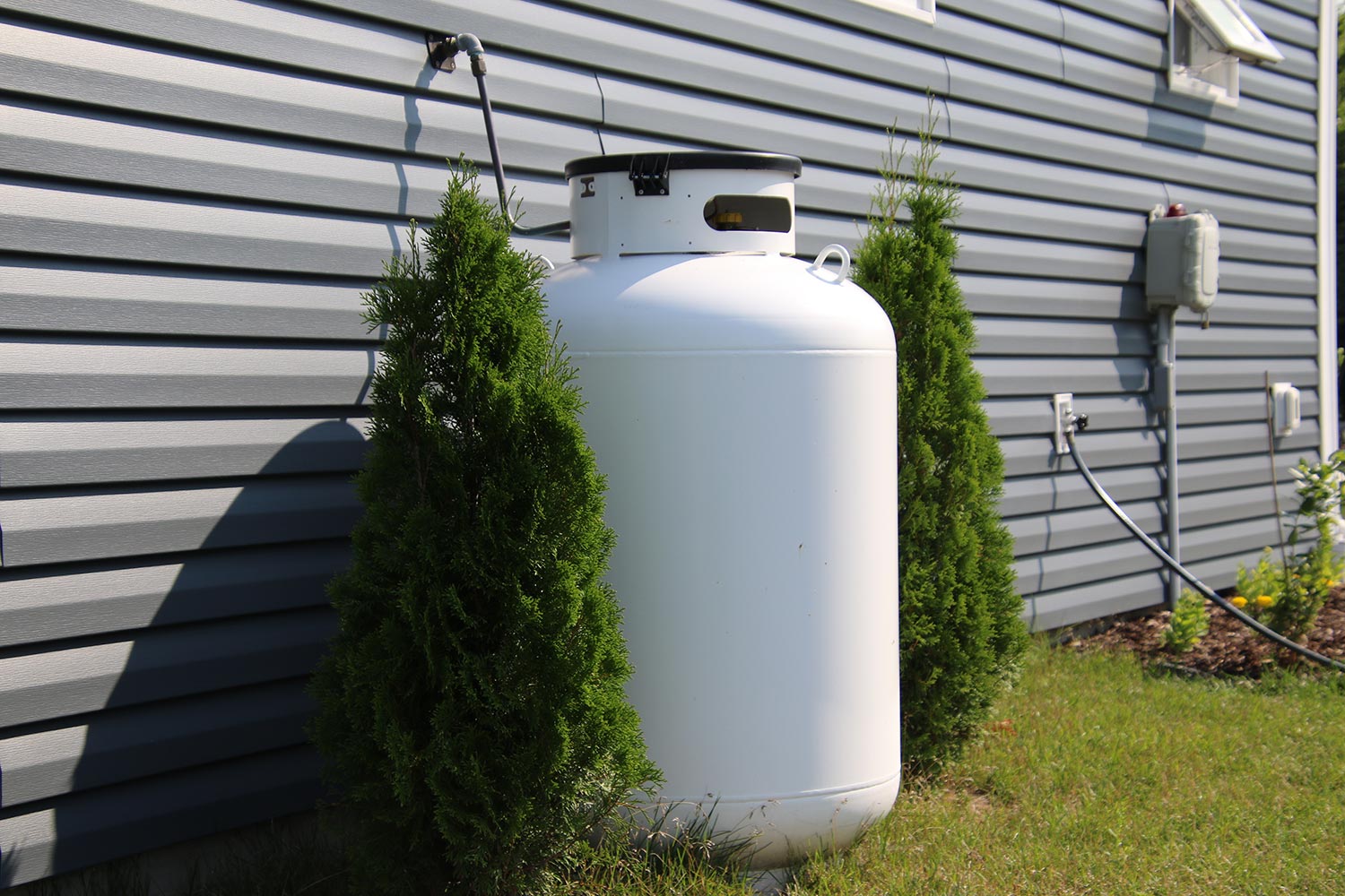A large propane tank on the side of a house bordered by two cedar bushes