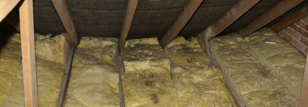 A panoramic image of a typical attic which has dangerous mould growing.