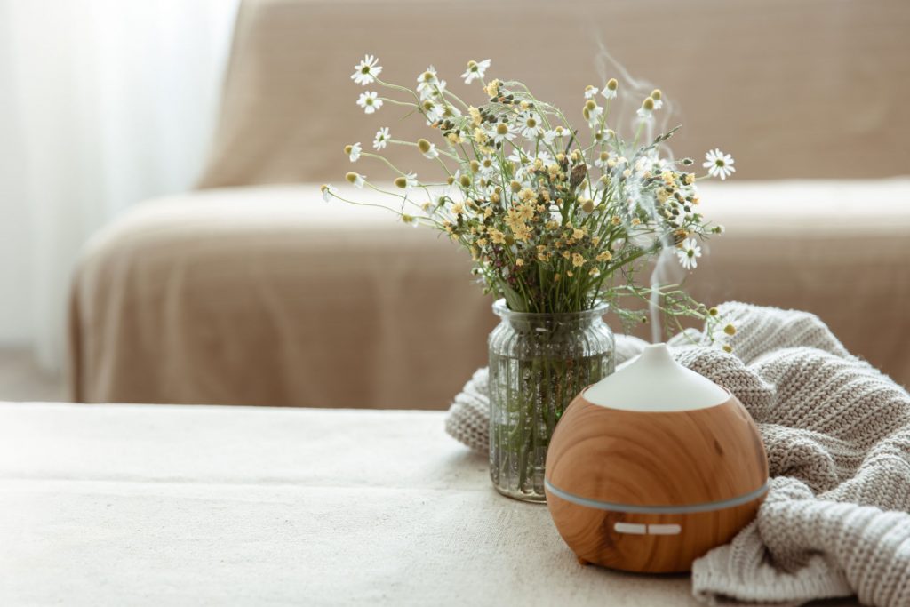 A wooden humidifier on the coffee table next to plants and a throw