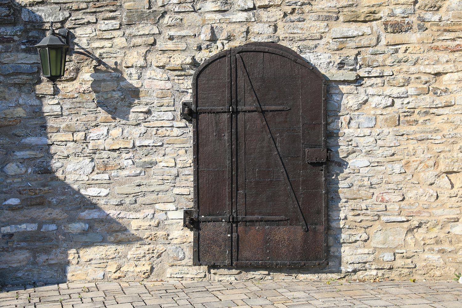Ancient iron door in a castle