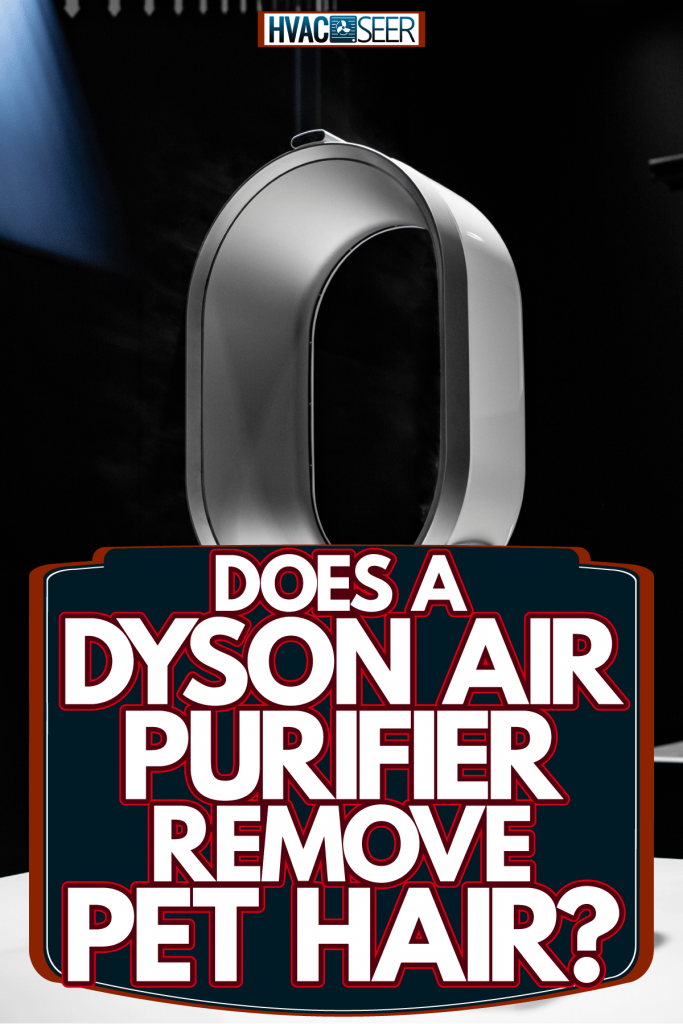 A Dyson air purifier at a Dyson showroom, Does a Dyson Air Purifier Remove Pet Hair?
