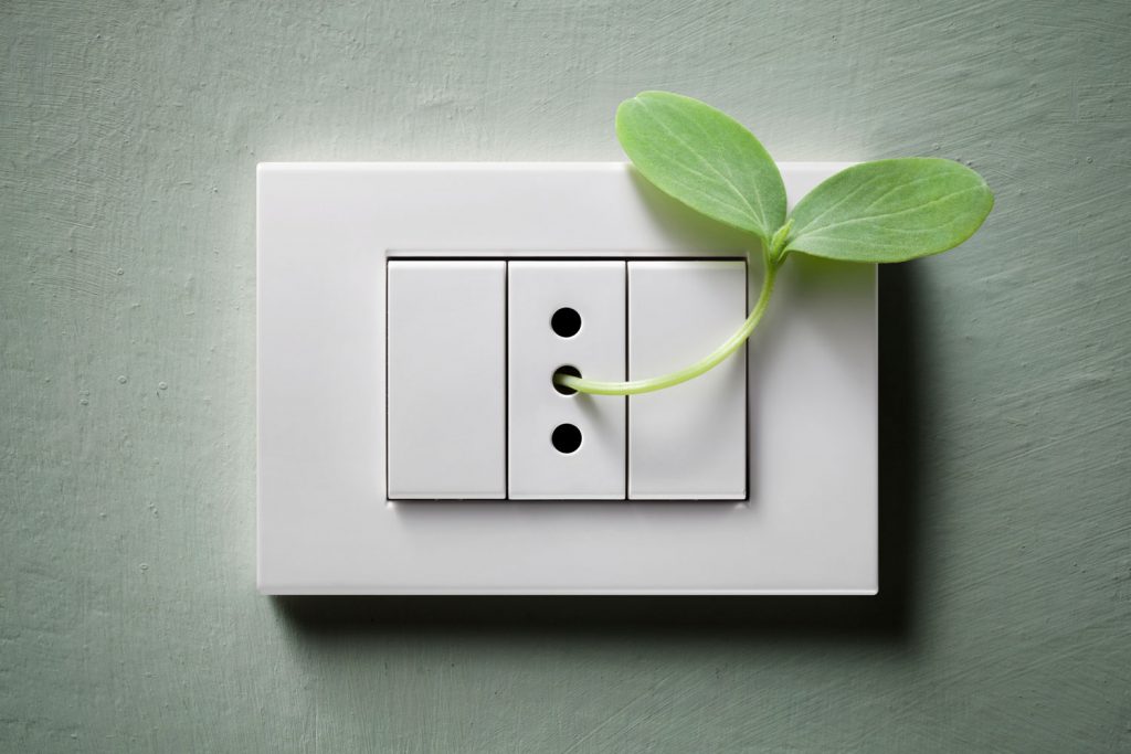 Electric socket and leaf depicting energy saving concept