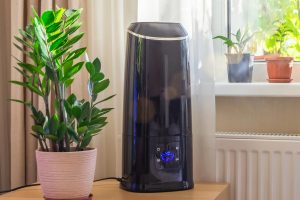 Read more about the article Honeywell Humidifier Not Working – How To Reset It?