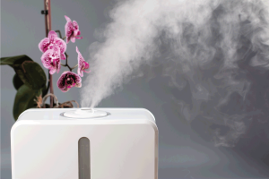 Read more about the article Can You Use A Humidifier Without A Filter?