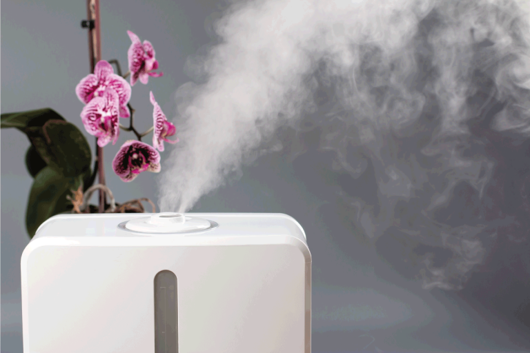 Steam from the air humidifier. Ultrasonic technology, increase in air humidity indoors, comfortable living conditions. Can You Use A Humidifier Without A Filter