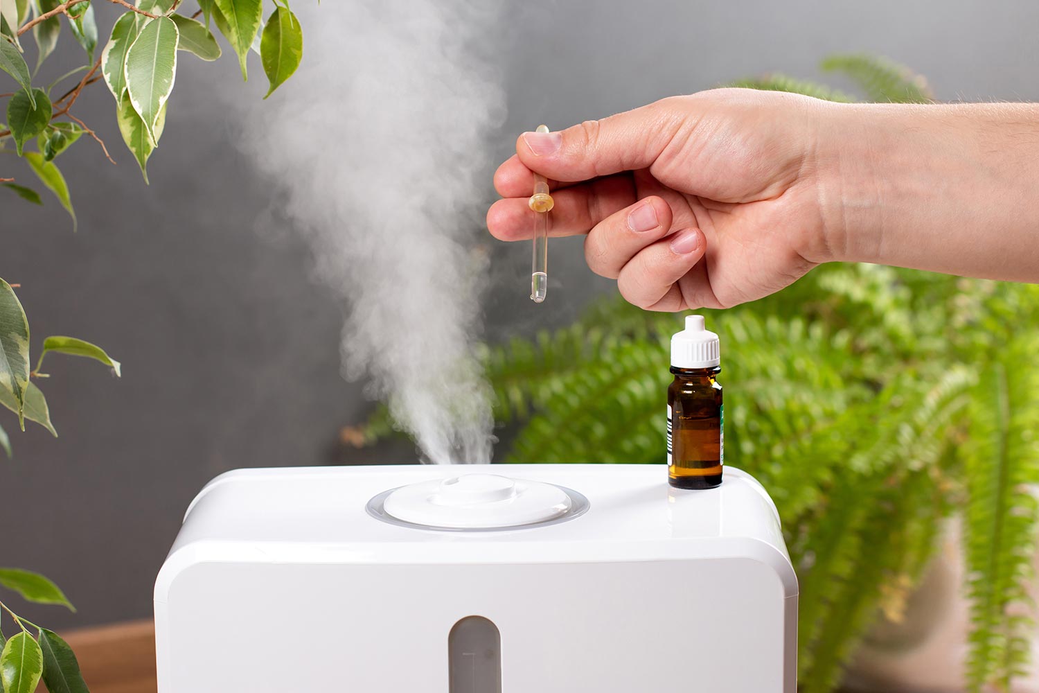 A man is adding essential oil to a humidifier