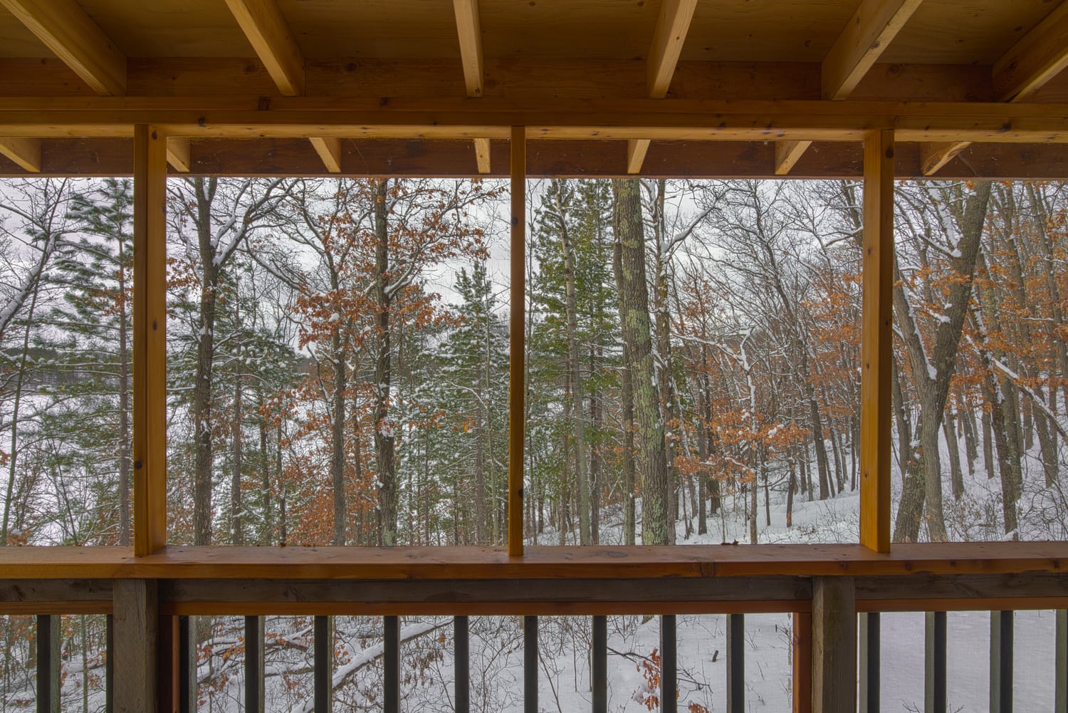 Beautiful snowy winter view of a Northwoods mixed forest (deciduous and coniferous) through a screened-in porch on a rustic cabin 