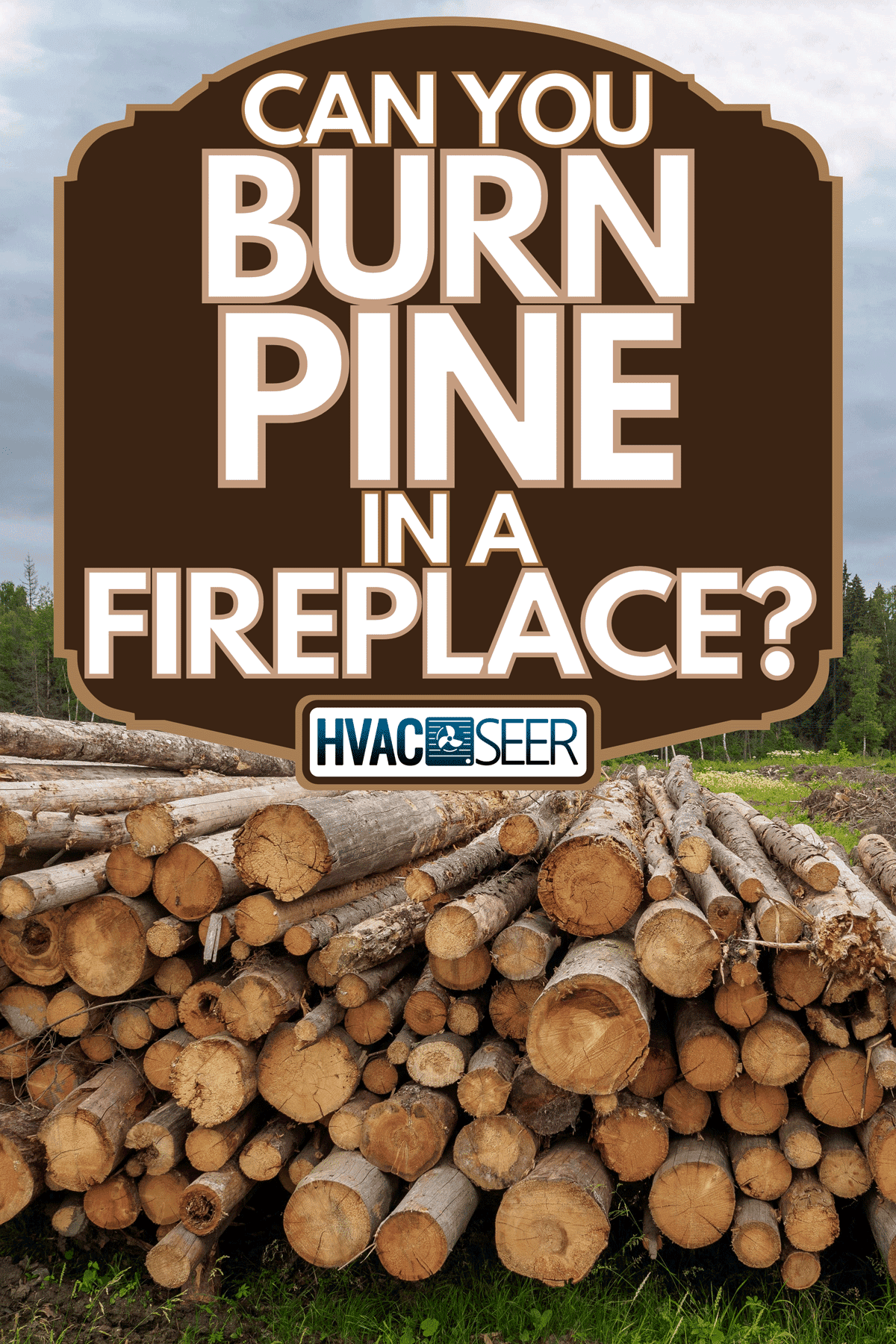 Trunks of pine and birch lying in a large heap in summer, Can You Burn Pine In A Fireplace?