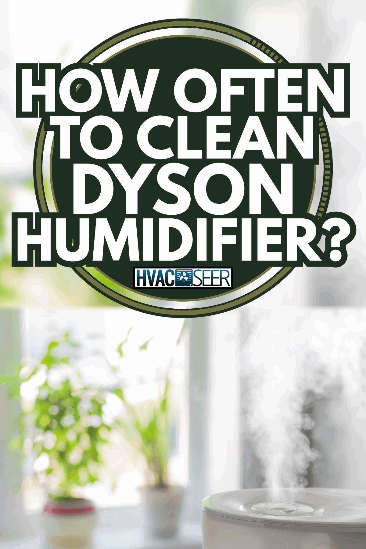 Vapor from humidifier in front of window. How Often To Clean Dyson Humidifier