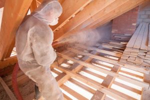 Read more about the article What Are The Types Of Loose-Fill Insulation?