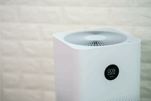 Read more about the article Can You Use An Air Purifier And Humidifier Together?