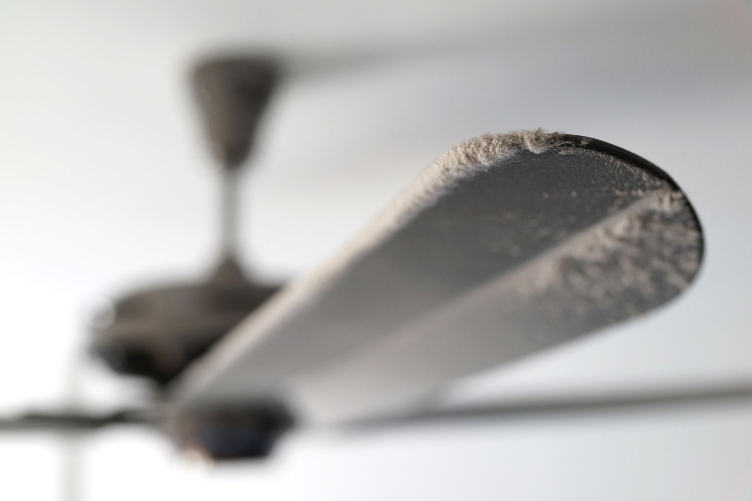 Dust and cob-web might hinder the speed of a ceiling fan