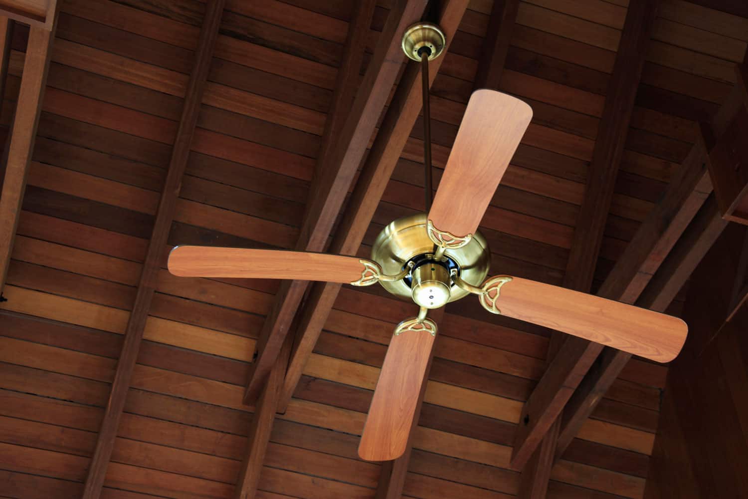 Modern wood type interior ceiling fan