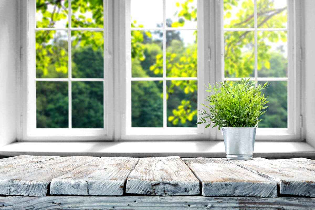 Summer time or spring time outside the window with green leafy plants outside