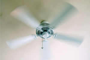 Read more about the article 9 Great Big Blade Ceiling Fans