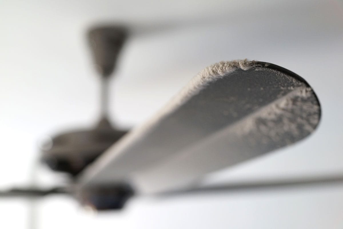 Ceiling fan not maintained its regular cleaning