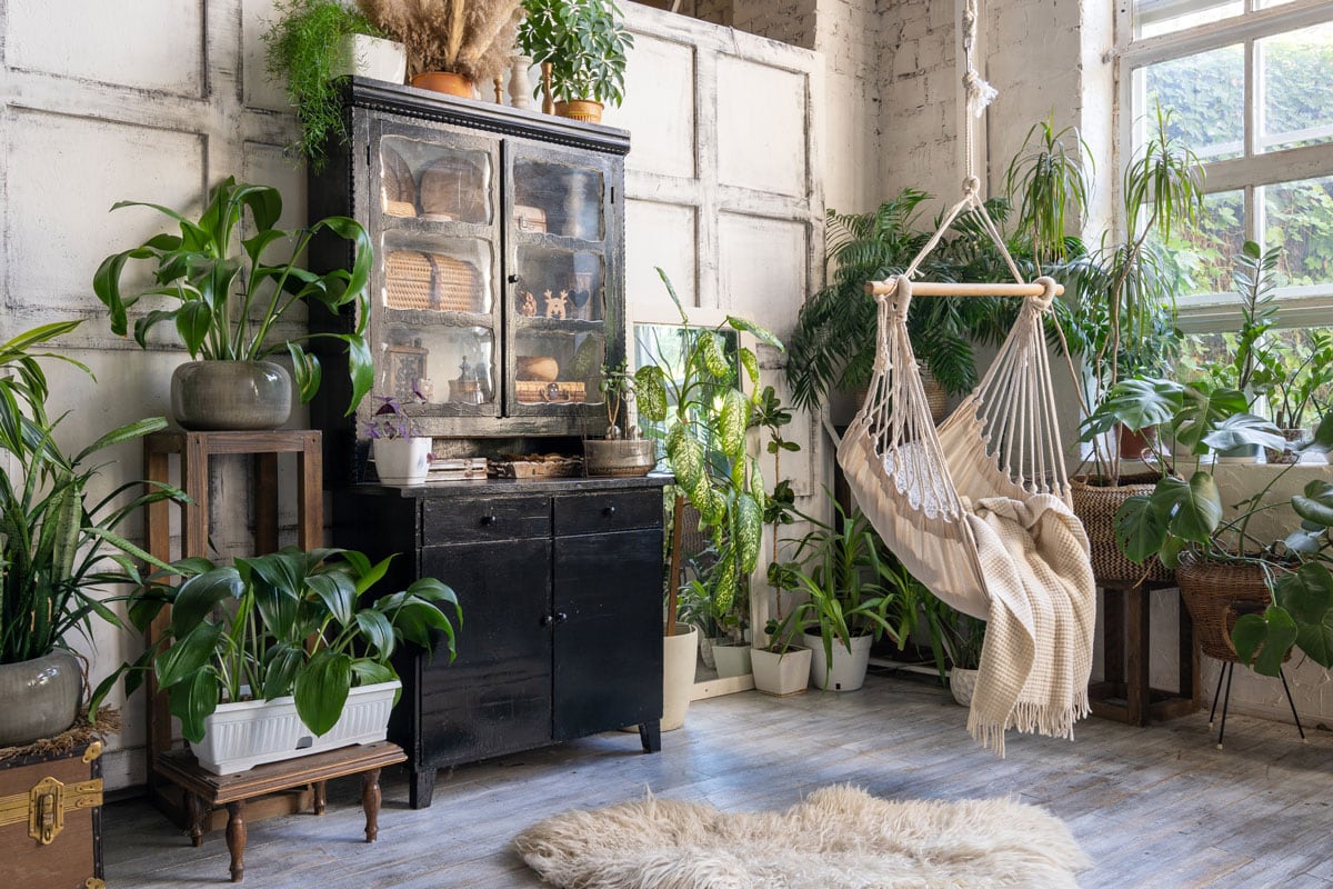 Cozy rope swing in living room with green houseplants for proper ventilation of a room