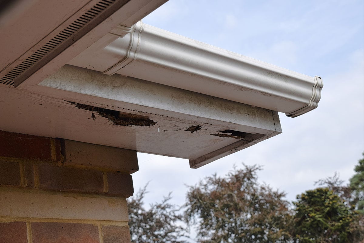 Rotten wood on roof soffits