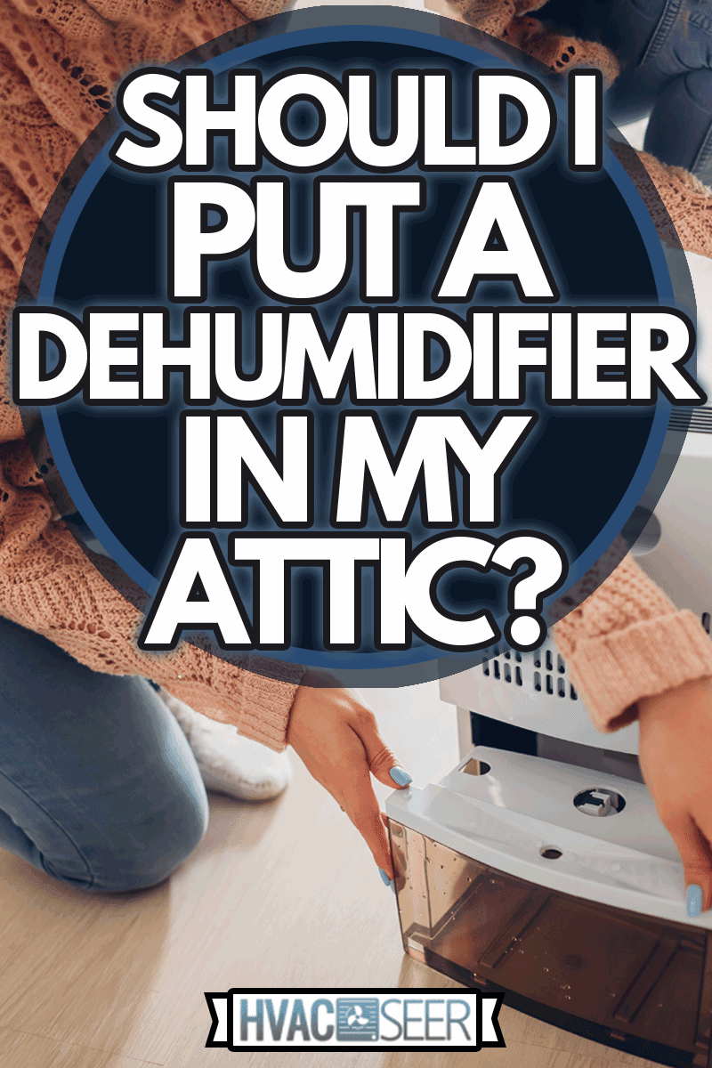Woman changing water container of dehumidifier at home, Should I Put A Dehumidifier In My Attic?
