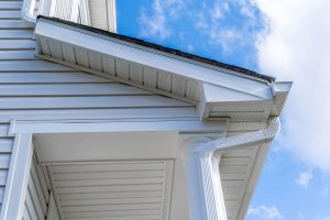 Read more about the article Can You Paint Vinyl Soffit And Fascia [And How To]
