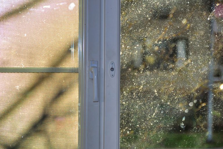 Sun shining through dirty window. Spring cleaning. Pollen allergy, Can Pollen Come Through Window Screens?