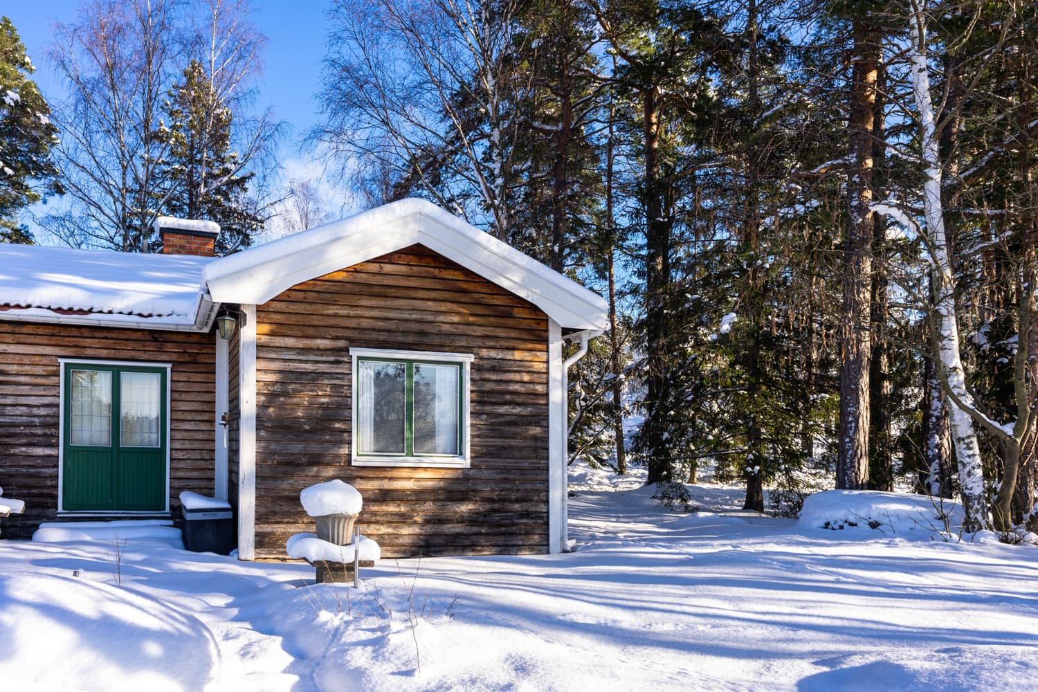 The cabin or small cottage is made of natural wood surrounded by high trees. 