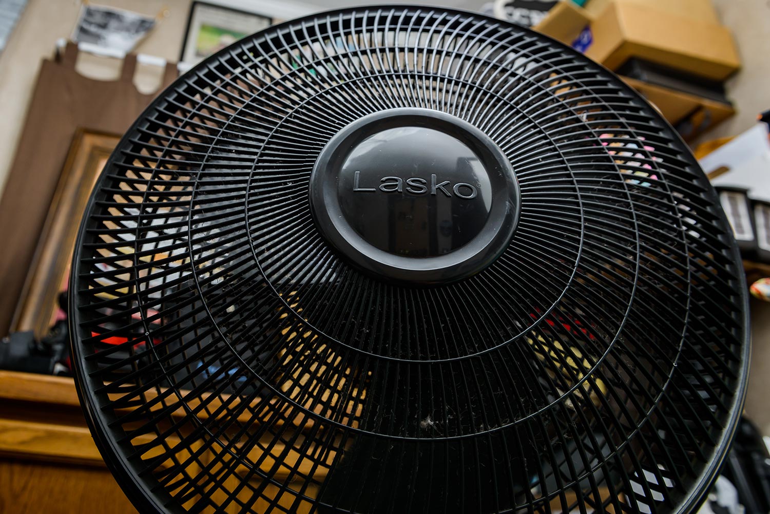 A Black interior fan by Lasko with dust built up along the outer ring as it blows air outward
