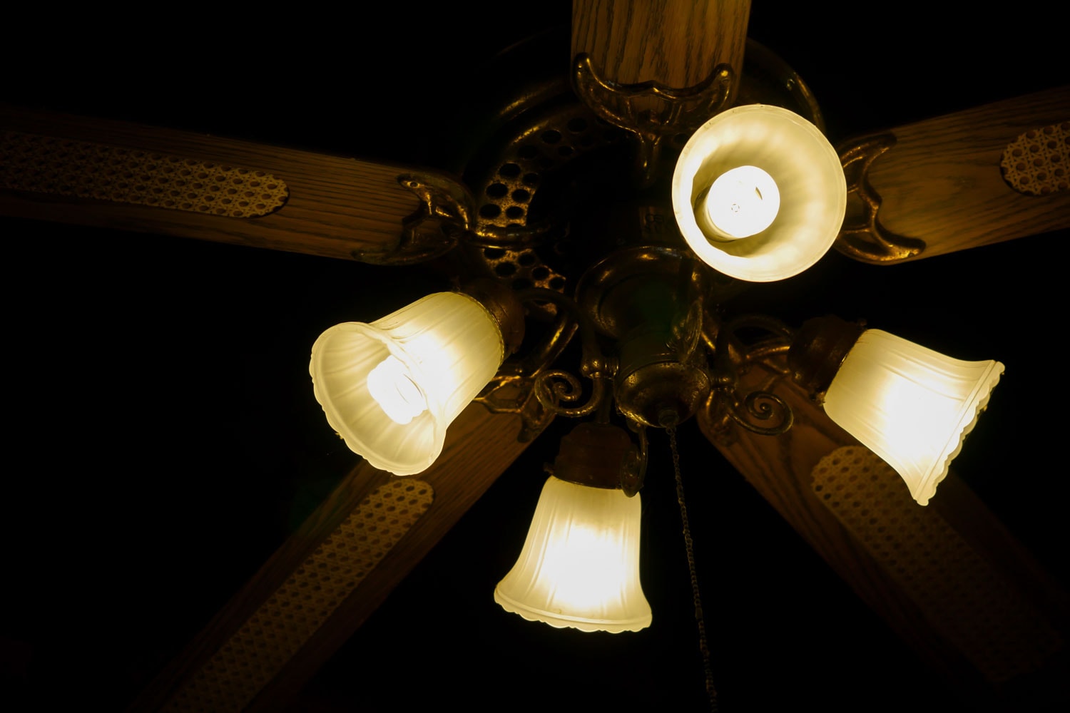 A ceiling fan with yellow colored light bulbs